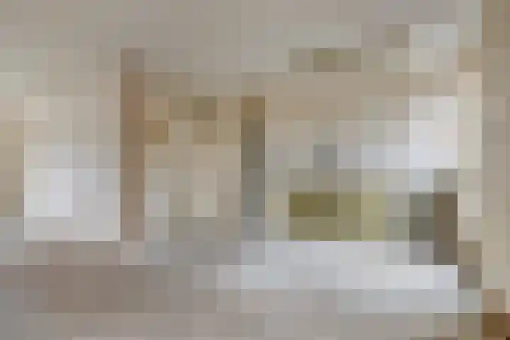 Zandhorstlaan 150 Oldenzaal thumbnail 7