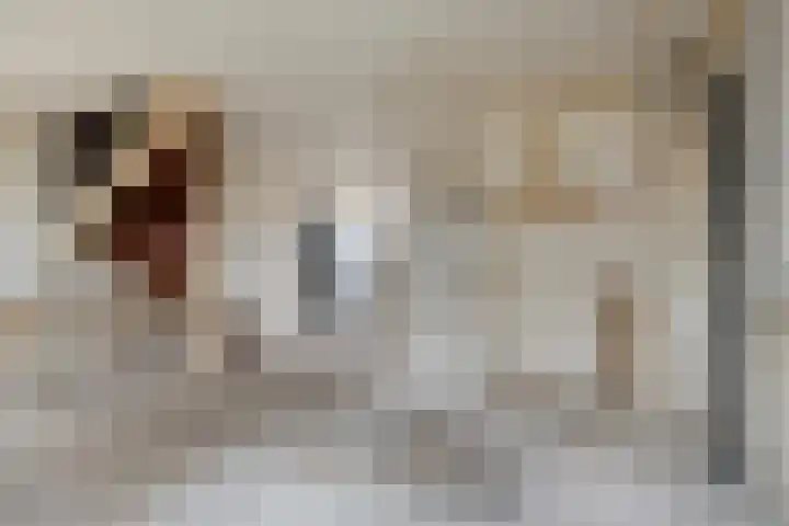 Zandhorstlaan 150 Oldenzaal thumbnail 8