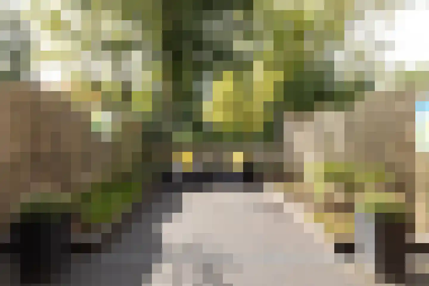 Zandhorstlaan 209 Oldenzaal thumbnail 4