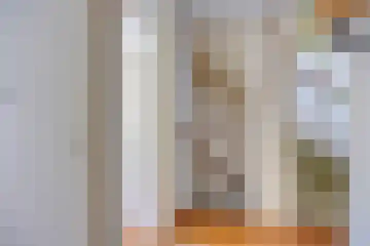Zandhorstlaan 223 Oldenzaal thumbnail 12