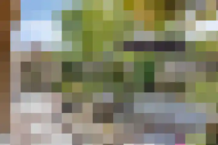 Zandhorstlaan 223 Oldenzaal thumbnail 22