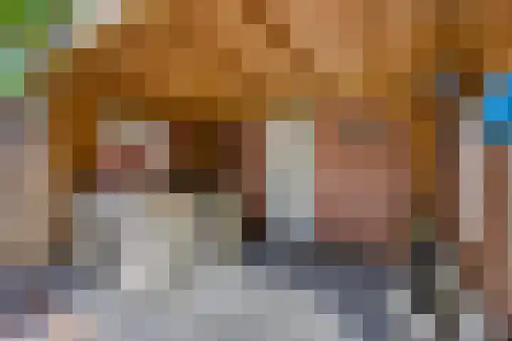 Zandhorstlaan 223 Oldenzaal thumbnail 23
