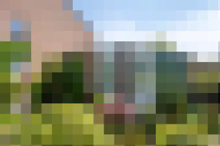 Zandhorstlaan 223 Oldenzaal thumbnail 24