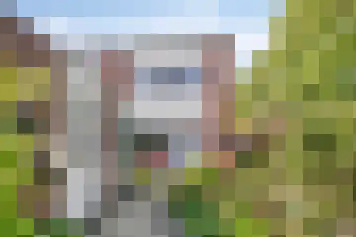 Zandhorstlaan 223 Oldenzaal thumbnail 25