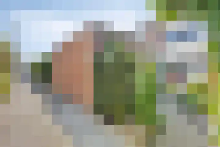 Zandhorstlaan 223 Oldenzaal thumbnail 26