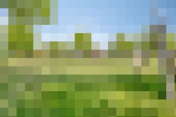 Zandhorstlaan 223 Oldenzaal thumbnail 29