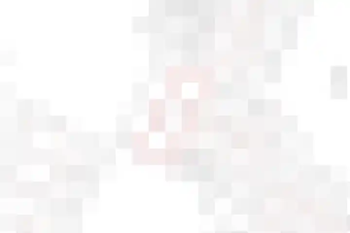 Zandhorstlaan 223 Oldenzaal thumbnail 34
