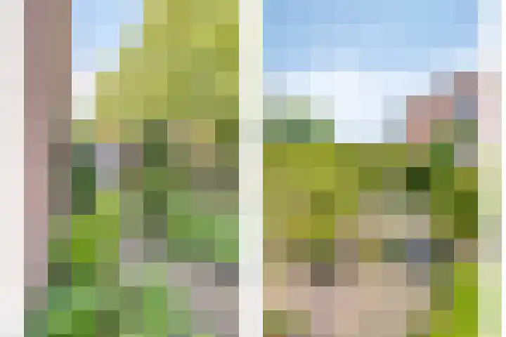 Zandhorstlaan 223 Oldenzaal thumbnail 4