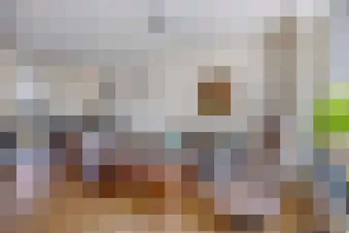 Zandhorstlaan 223 Oldenzaal thumbnail 7