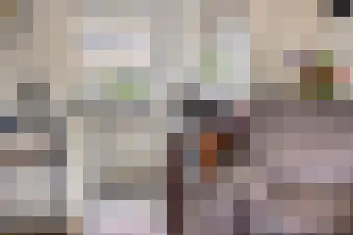 Zandhorstlaan 223 Oldenzaal thumbnail 8