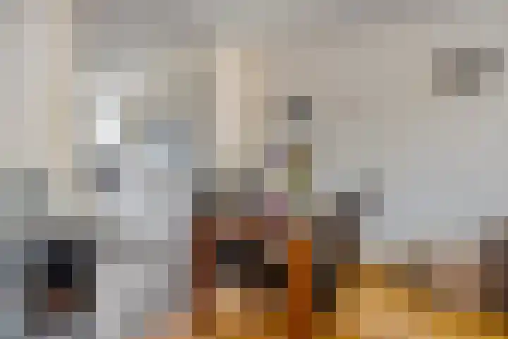 Zandhorstlaan 223 Oldenzaal thumbnail 9
