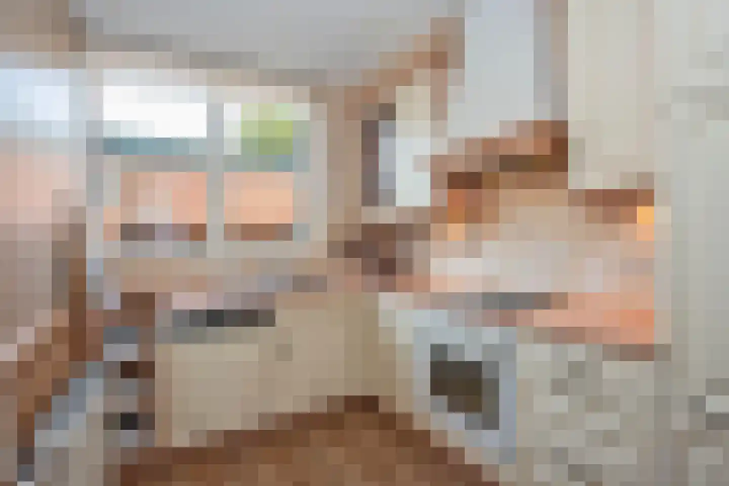 Zandhorstlaan 255 Oldenzaal thumbnail 12