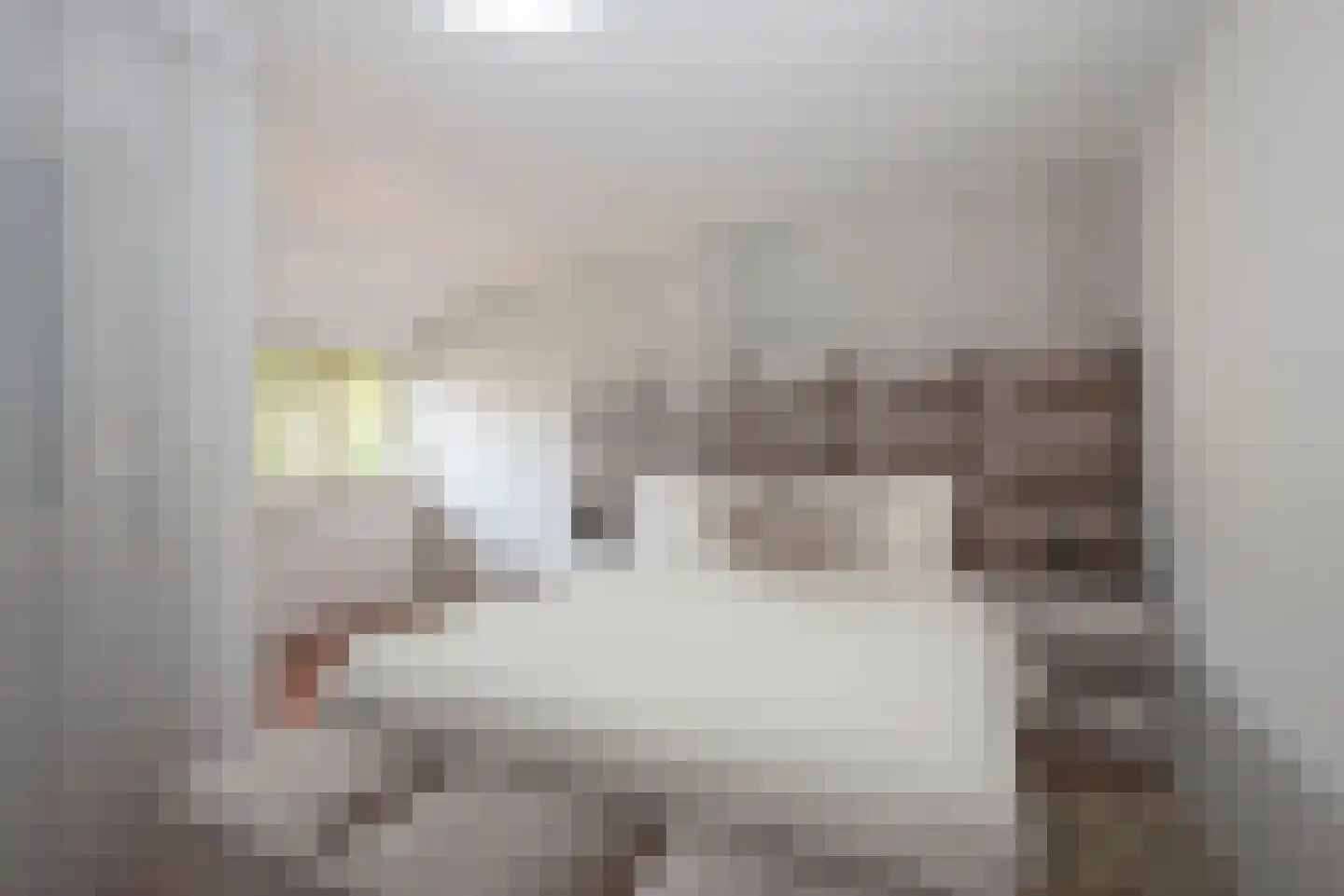 Zandhorstlaan 255 Oldenzaal thumbnail 16