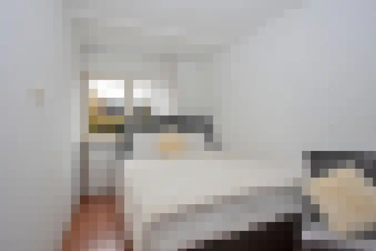 Zandhorstlaan 255 Oldenzaal thumbnail 19