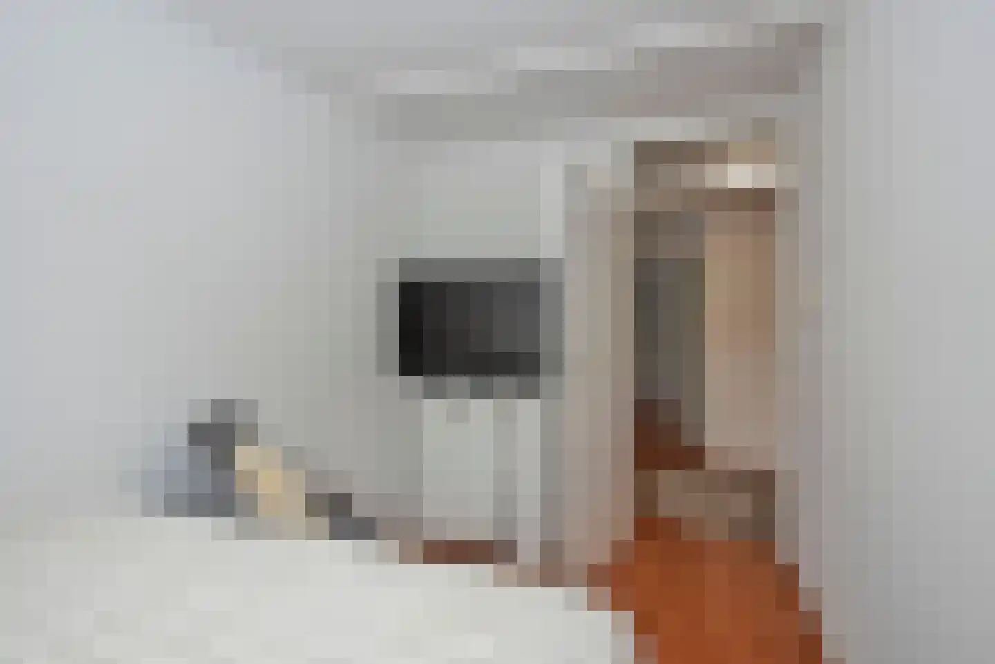 Zandhorstlaan 255 Oldenzaal thumbnail 20
