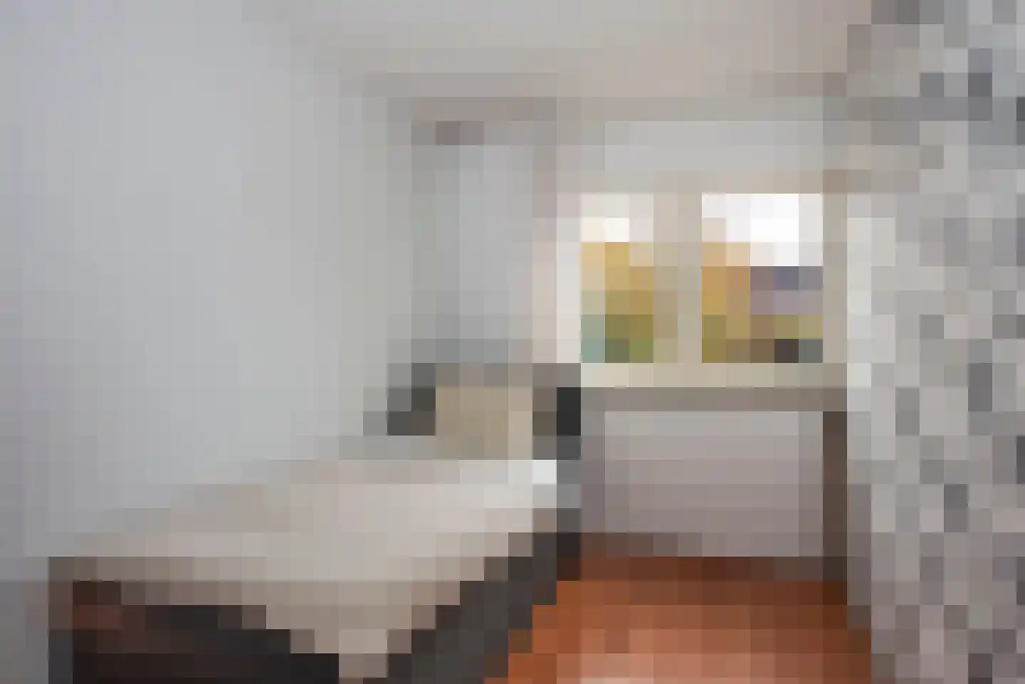 Zandhorstlaan 255 Oldenzaal thumbnail 22