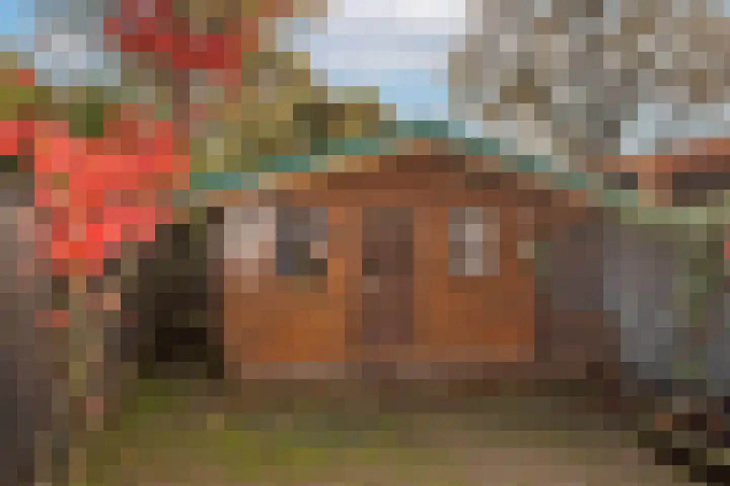 Zandhorstlaan 255 Oldenzaal thumbnail 25