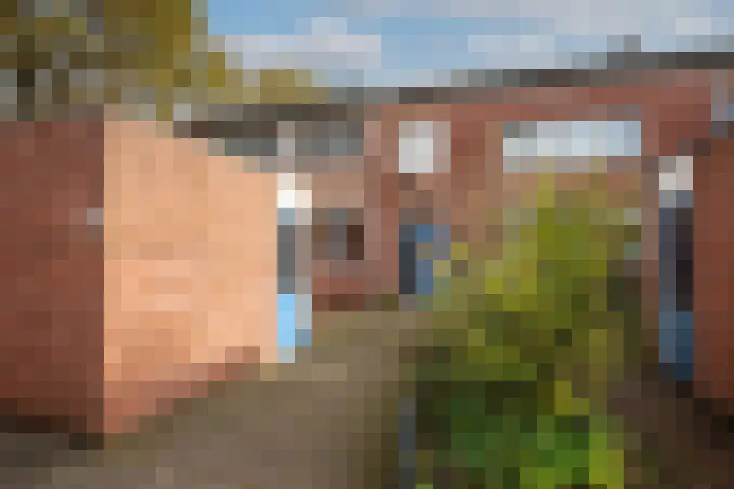 Zandhorstlaan 255 Oldenzaal thumbnail 27