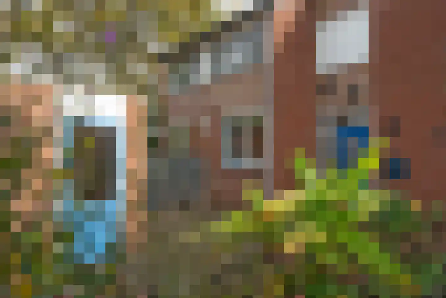 Zandhorstlaan 255 Oldenzaal thumbnail 28