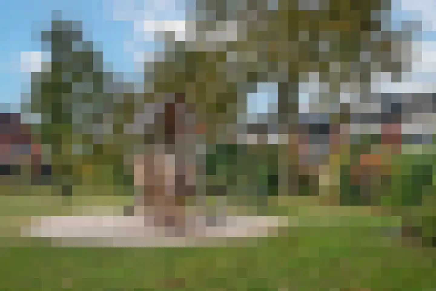 Zandhorstlaan 255 Oldenzaal thumbnail 29