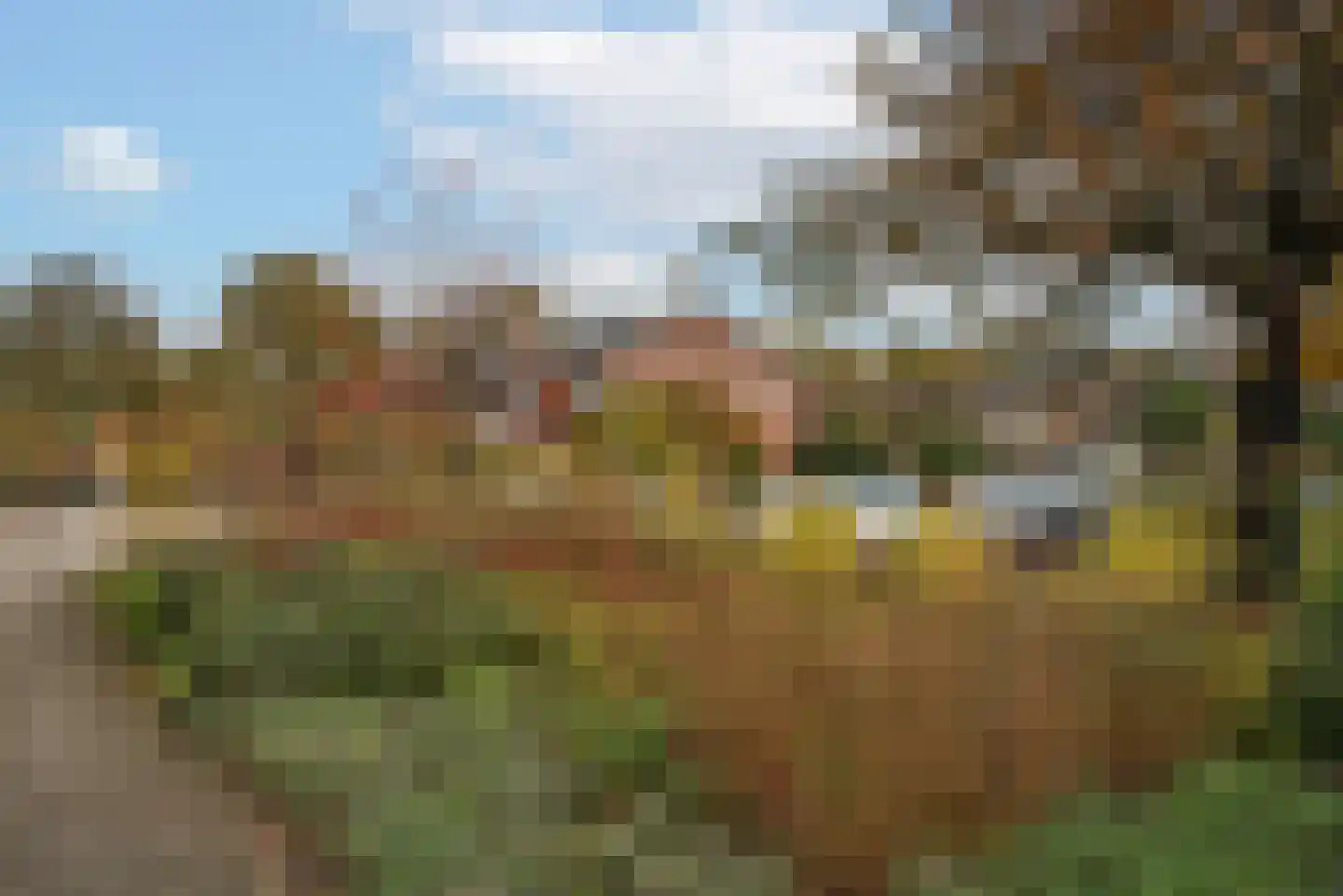 Zandhorstlaan 255 Oldenzaal thumbnail 30