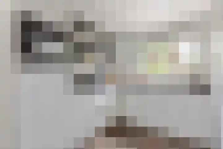 Zandhorstlaan 31 Oldenzaal thumbnail 10