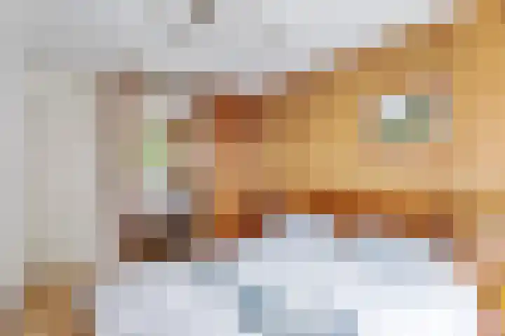 Zandhorstlaan 31 Oldenzaal thumbnail 13