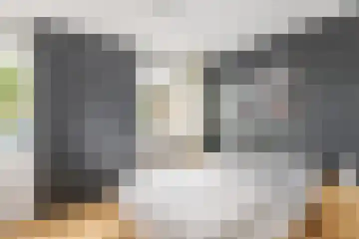 Zandhorstlaan 31 Oldenzaal thumbnail 14