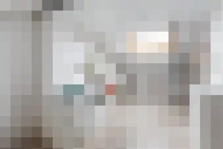 Zandhorstlaan 31 Oldenzaal thumbnail 16