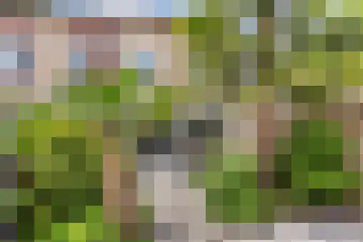 Zandhorstlaan 31 Oldenzaal thumbnail 17