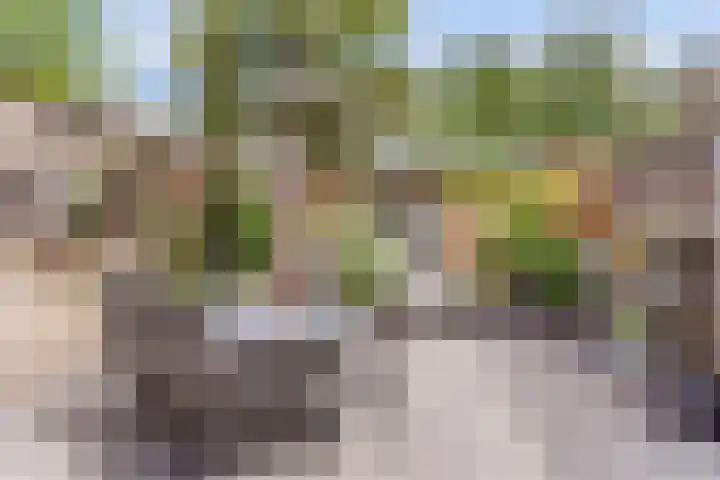 Zandhorstlaan 31 Oldenzaal thumbnail 18