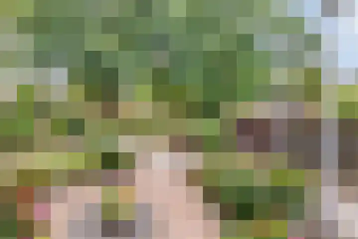 Zandhorstlaan 31 Oldenzaal thumbnail 19