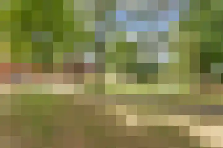Zandhorstlaan 31 Oldenzaal thumbnail 20
