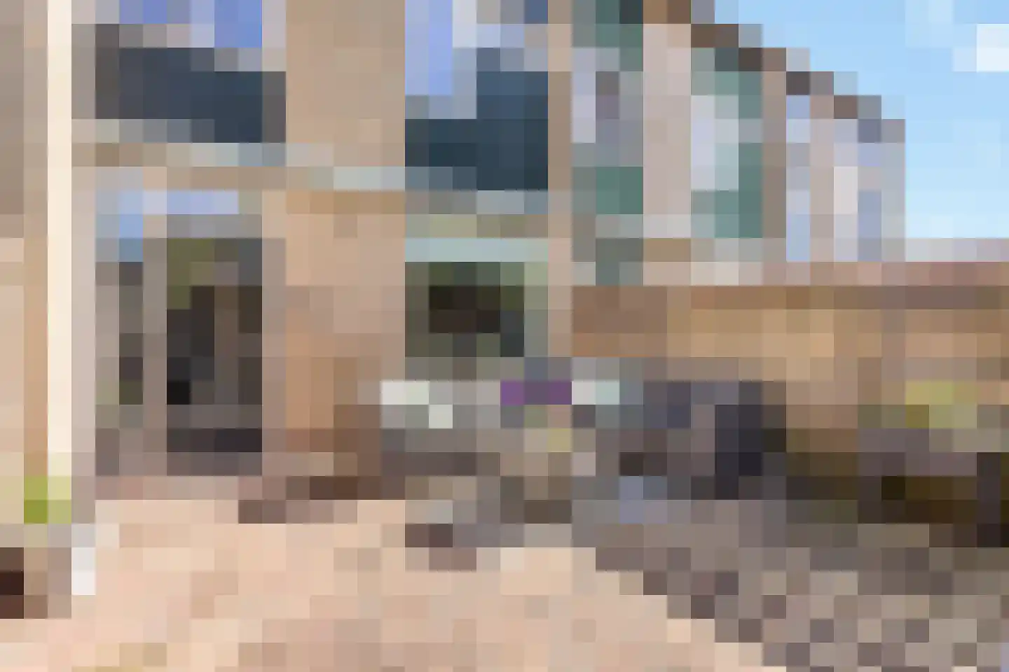 Zandhorstlaan 5 Oldenzaal thumbnail 16