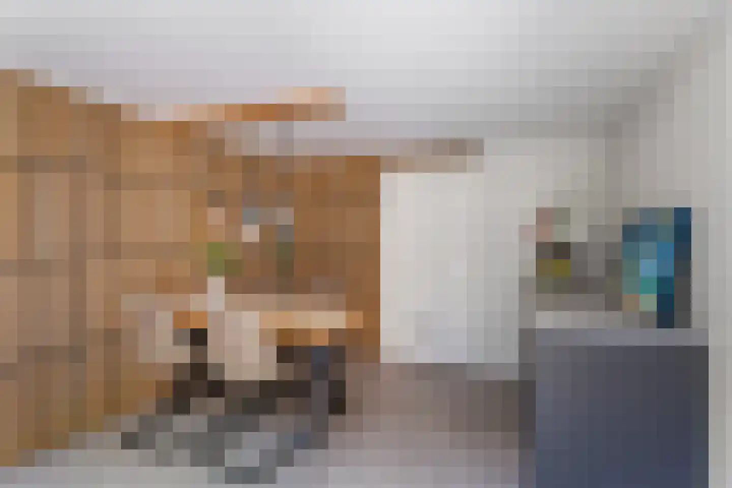 Zandhorstlaan 5 Oldenzaal thumbnail 18