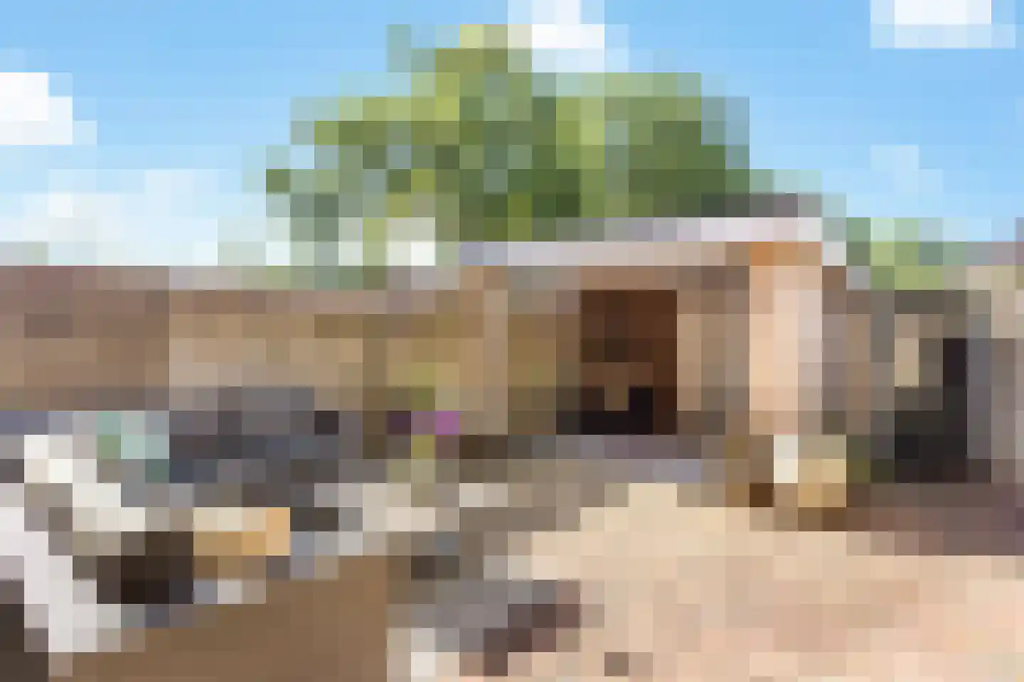 Zandhorstlaan 5 Oldenzaal thumbnail 4