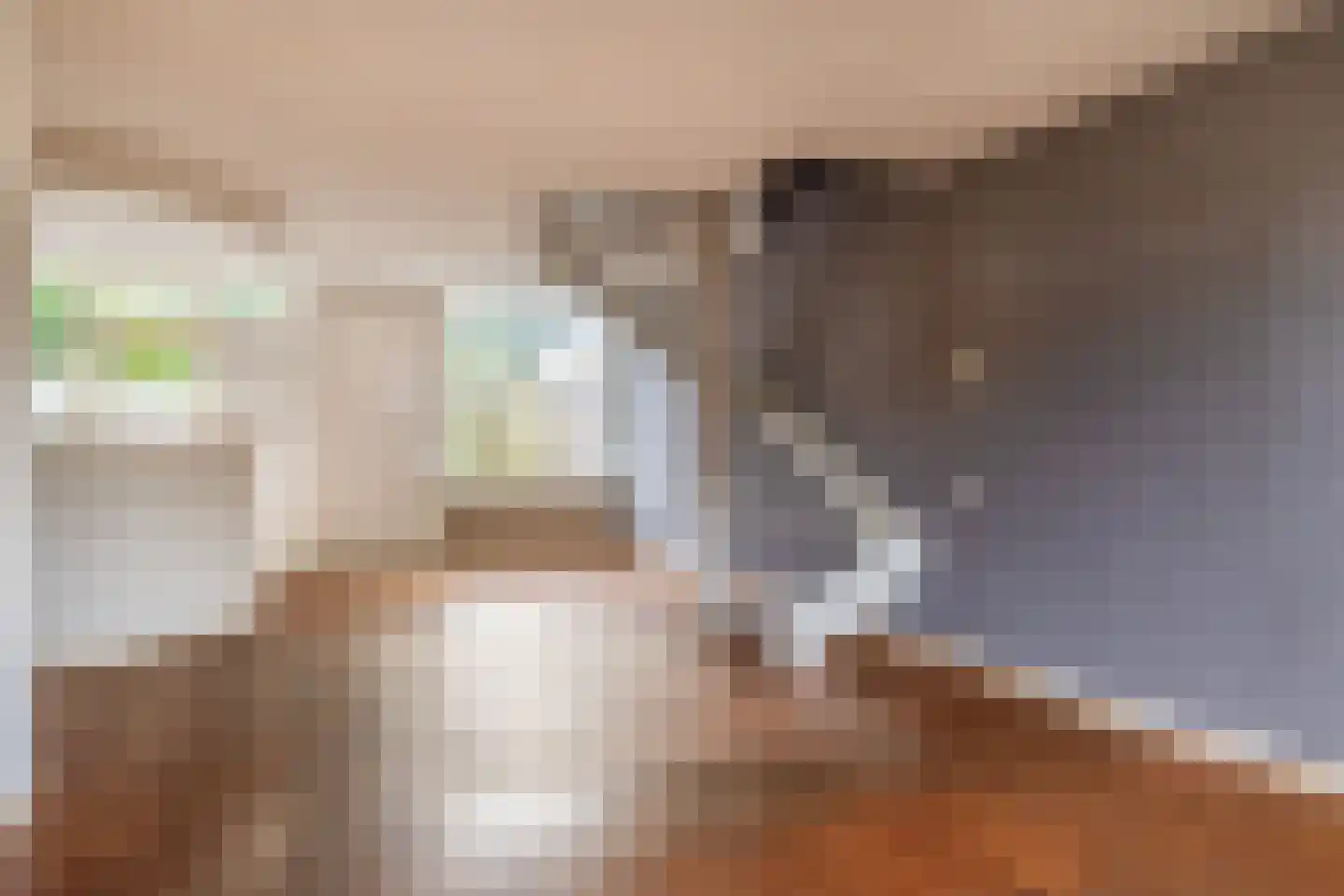 Zandhorstlaan 6 Oldenzaal thumbnail 14