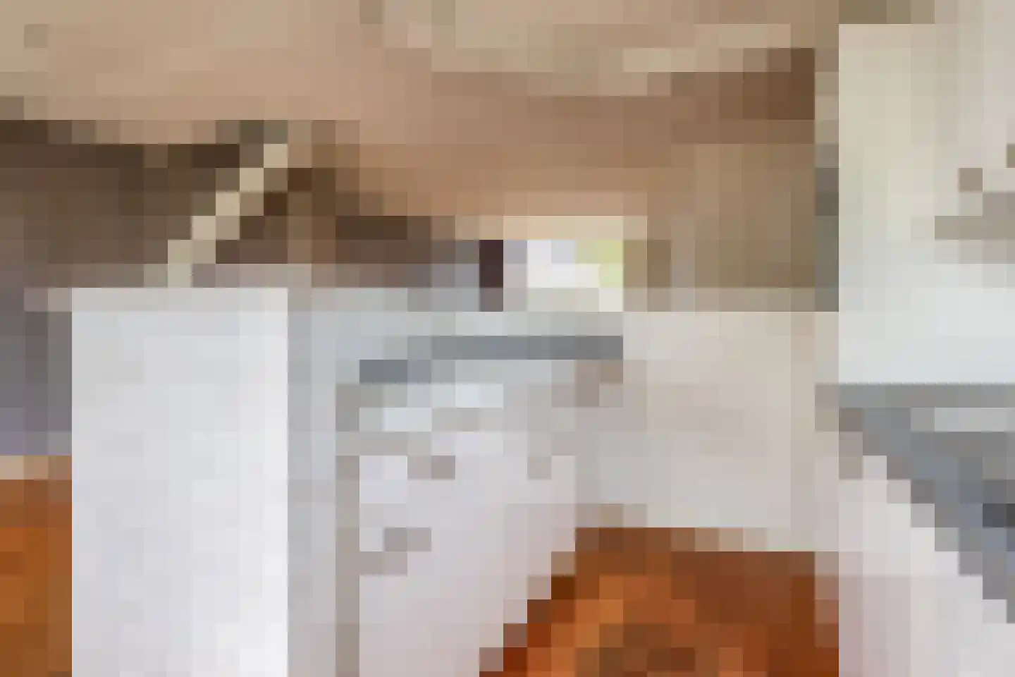 Zandhorstlaan 6 Oldenzaal thumbnail 23