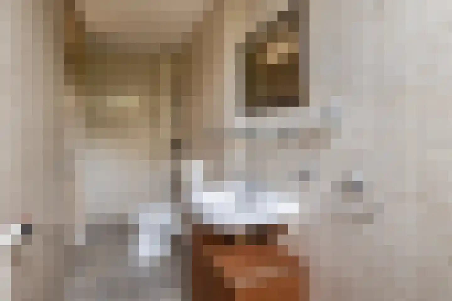 Zandhorstlaan 6 Oldenzaal thumbnail 38