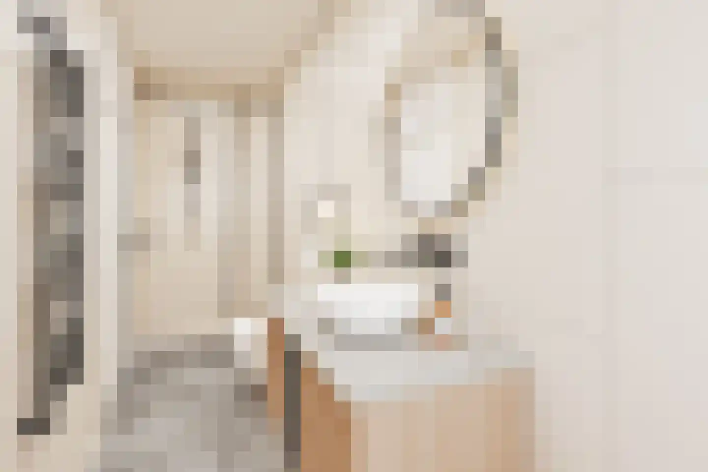 Zandhorstlaan 6 Oldenzaal thumbnail 39