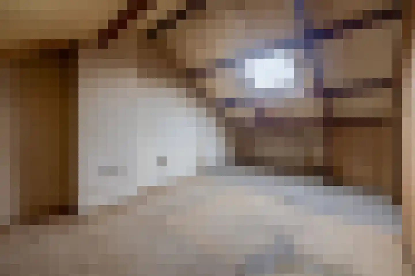 Zandhorstlaan 6 Oldenzaal thumbnail 42