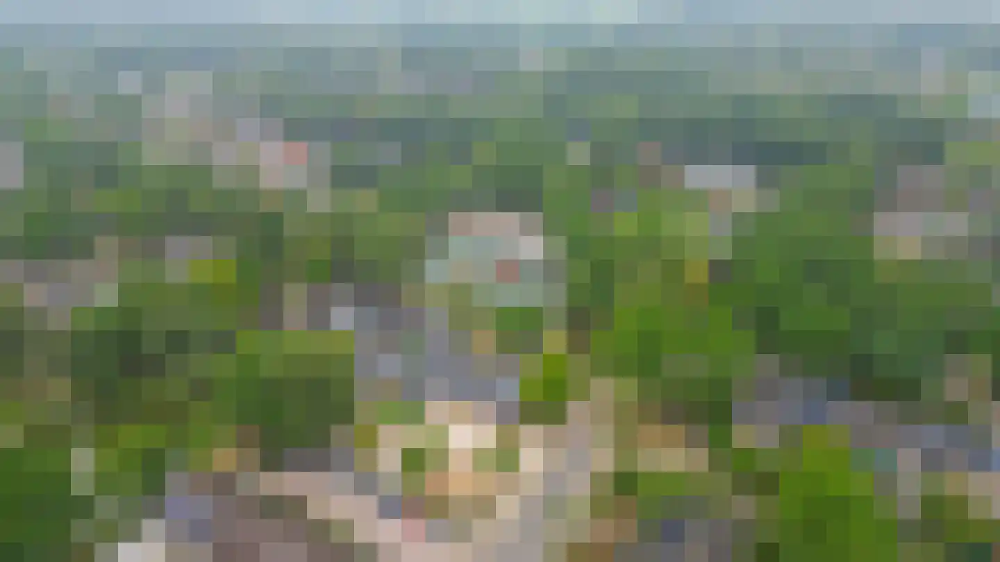 Zandhorstlaan 6 Oldenzaal thumbnail 47
