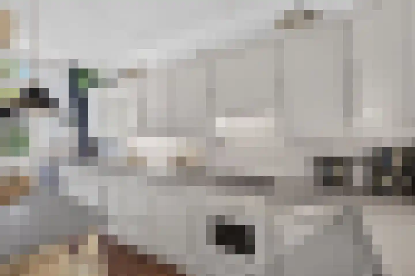 Zandhorstlaan 74 Oldenzaal thumbnail 14