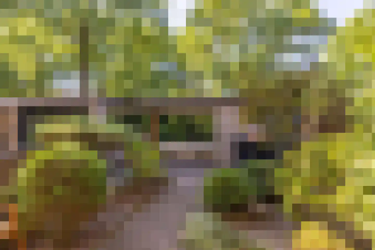 Zandhorstlaan 74 Oldenzaal thumbnail 31