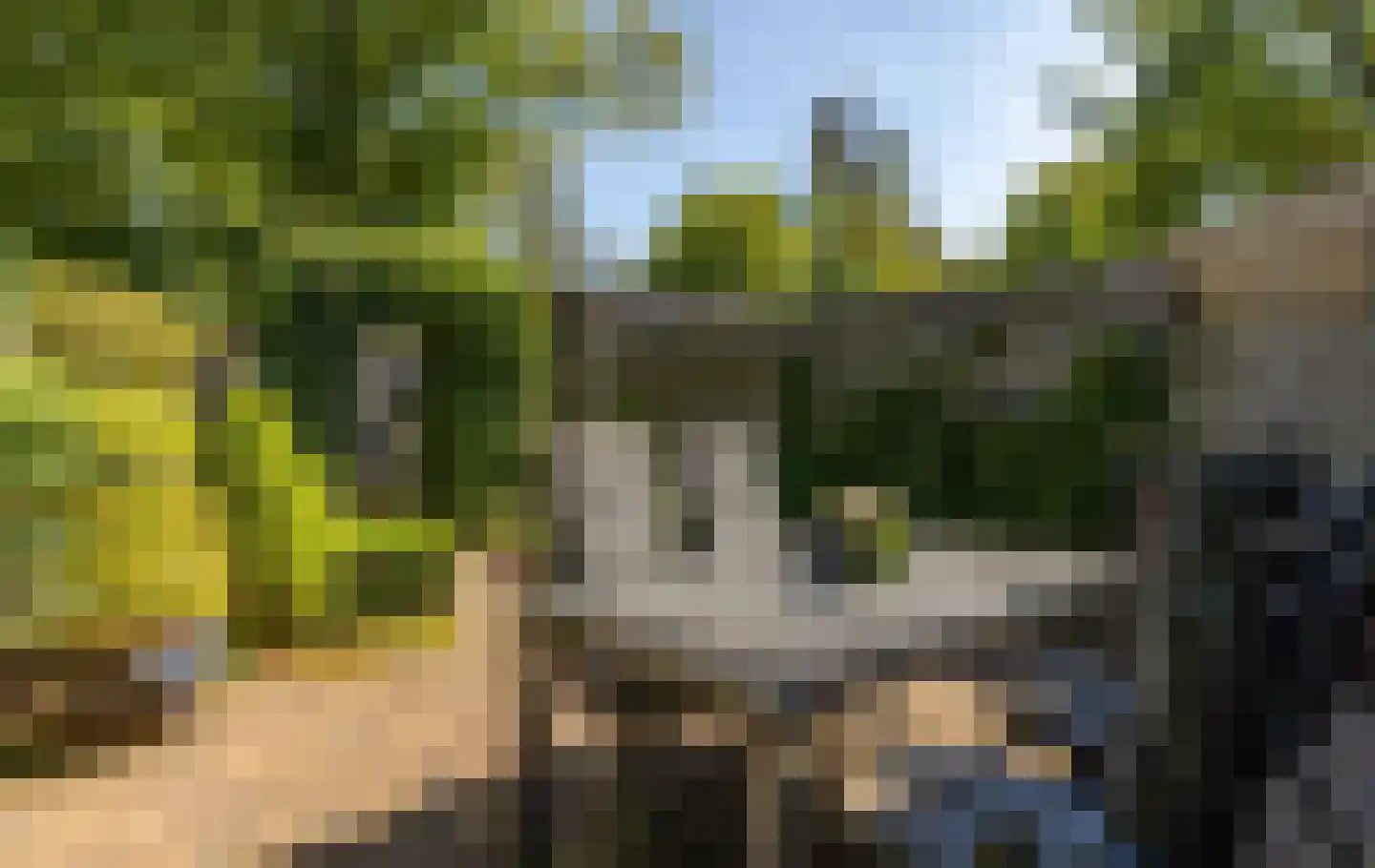 Zandhorstlaan 74 Oldenzaal thumbnail 35