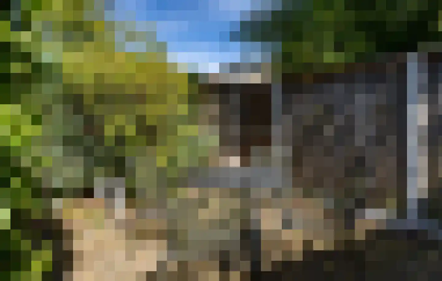 Zandhorstlaan 74 Oldenzaal thumbnail 36