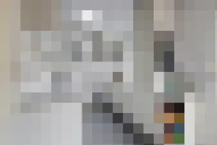 Zandhorstlaan 8 Oldenzaal thumbnail 10