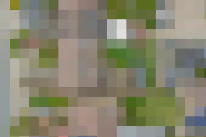 Zandhorstlaan 8 Oldenzaal thumbnail 29