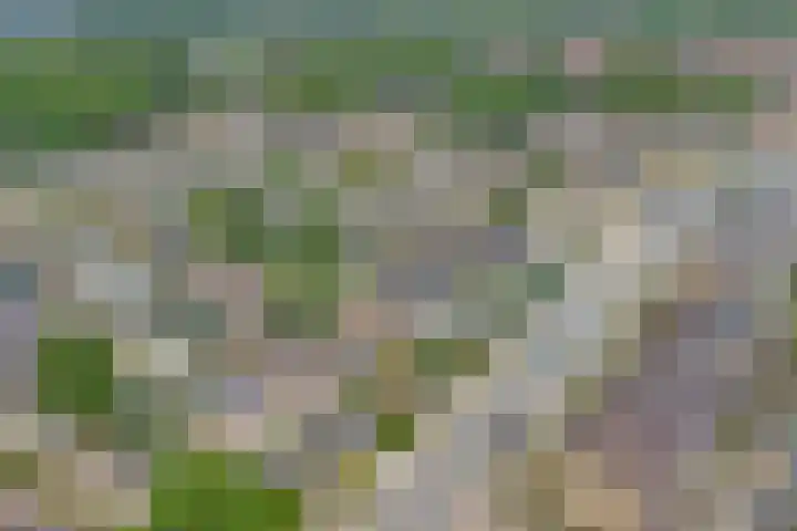 Zandhorstlaan 8 Oldenzaal thumbnail 30
