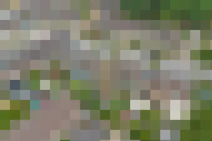 Zandhorstlaan 8 Oldenzaal thumbnail 32
